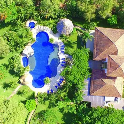 a close up of a flower garden