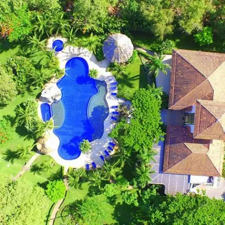 a close up of a flower garden