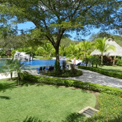 a large lawn in front of a tree