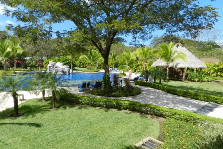 a large lawn in front of a tree