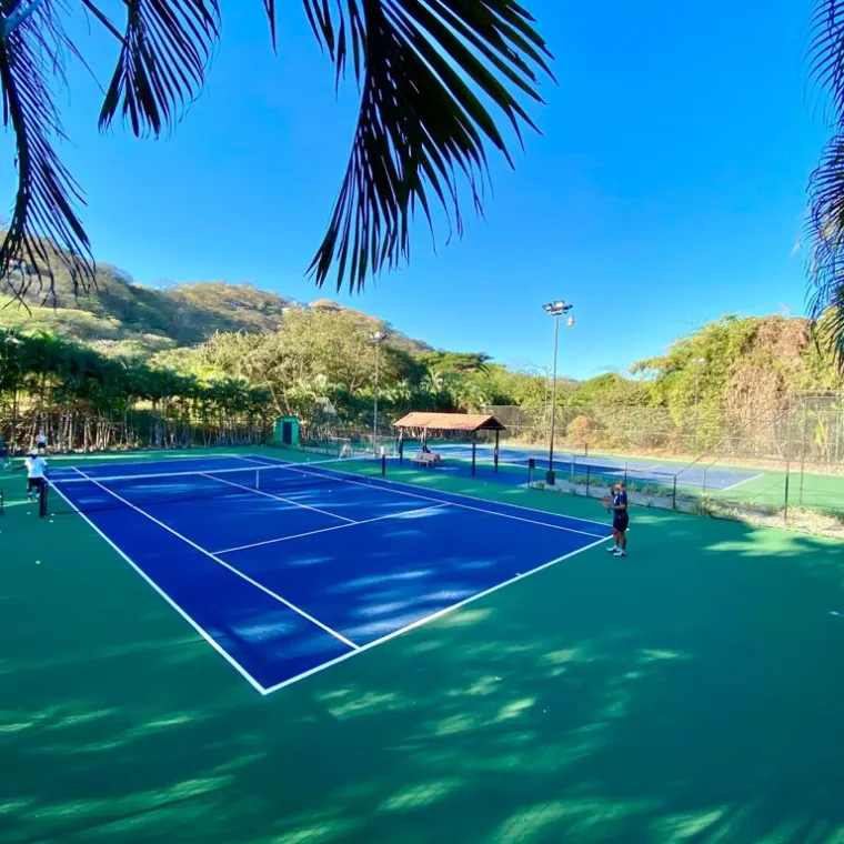 a group of palm trees next to a body of water