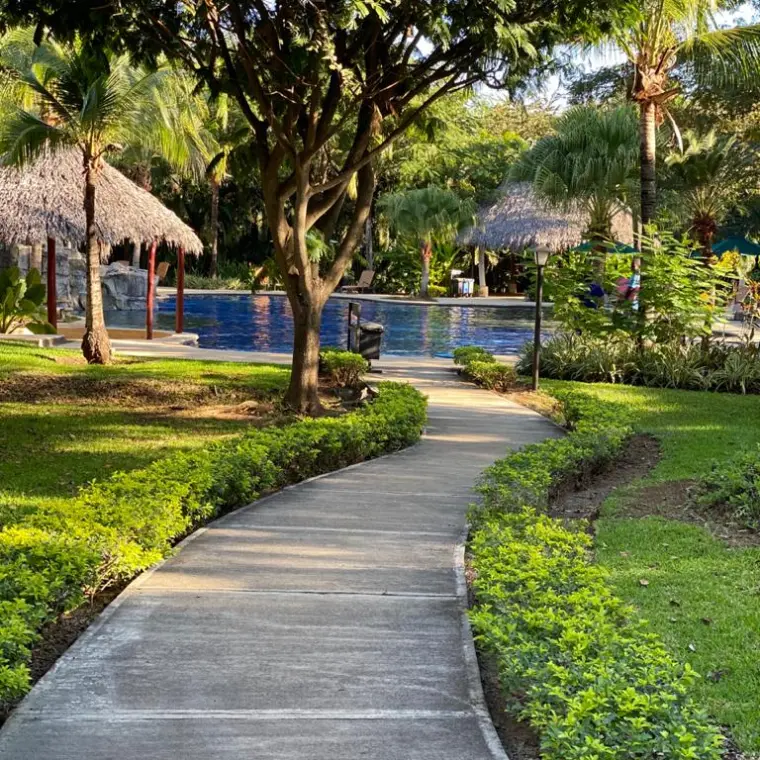 a path with trees on the side of a road