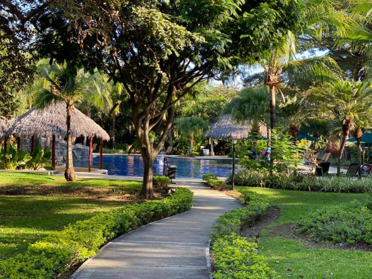 a path with grass in front of a tree
