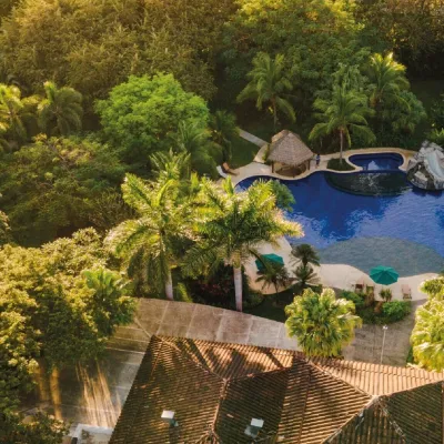 a group of bushes in a garden